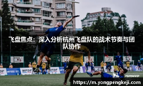 3亿体育官网