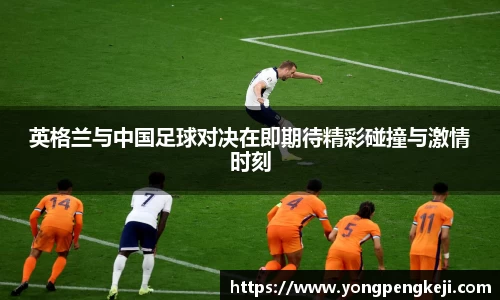 三亿体育