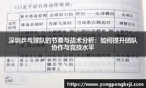 3亿体育官网